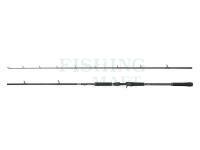 Abu Garcia Wędki Beast X Casting Rod