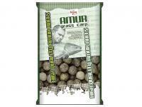 Carp Zoom Kulki Amur Big Catch Boilies