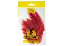 Pióra Veniard Loose Cock Saddle Hackle Large 2 gram - Red Scarlet