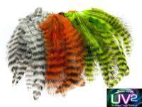 Spirit River Pióra UV2 Grizzly Soft Hackles