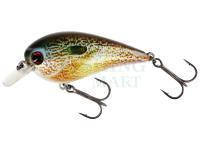 Wobler Westin BassBite Squarebill BassBite 1.5 | 6cm 13g - Real Pumpkinseed