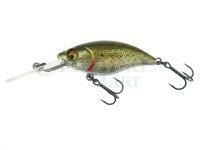 Wobler Westin BuzzBite Crankbait 5cm 6g Suspending - Lake Roach