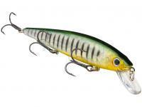 Strike King Woblery KVD 300 Jerkbait