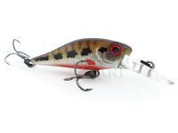 Adam's Woblery Shad 34 F MR