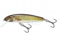 Wobler Salmo Minnow Floating 7 | 7cm 6g | 2 3/4" 3/16oz - Grayling