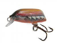 Wobler Dorado Beetle 3 FBT