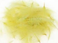 CDC Loose Grade Dyed 0.5g - Dirty Yellow