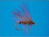 CDC Sedge - brown nr 12