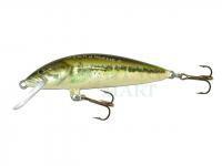 Wobler Dorado Classic  4cm Floating BS