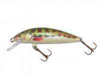 Wobler Dorado Classic C-4 Floating MN