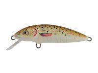 Wobler Dorado Classic C-4 Floating TR