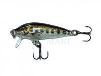 Wobler Rapala CountDown 7cm - Muddler