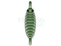 Hemingway`s Gammarus back - Green