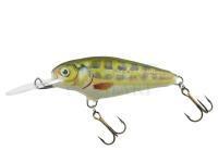 Wobler Dorado Invader I-4 Floating MN