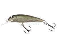 Wobler Wob-Art Strzebla (Common dace) 6cm 4g MF DR - 01