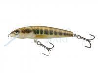 Wobler Salmo Minnow M6F 6cm - Minnow