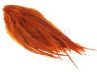 Rooster Saddle Feather - Burnt Orange