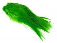 Rooster Saddle Feather - Green Highlander