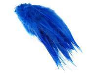 Rooster Saddle Feather - King Fisher Blue