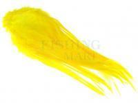 Rooster Saddle Feather - Yellow