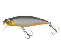 Wobler Pontoon21 Preference Shad 55F-SR - A11 Mat CHG BV Back OB