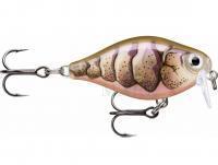 Wobler Rapala X-Light Crank Shallow Runner 3.5cm - Purple Prawn UV