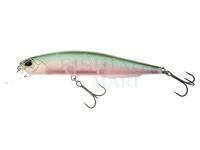 DUO Realis Jerkbait 100SP - CCC3254 D Shad