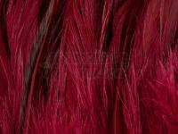 Rooster Saddle Feather - Claret