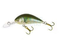 Wobler Kenart Shark 4cm GG