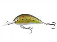 Wobler Kenart Shark 5cm T