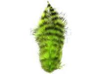 Spirit River UV2 Grizzly Soft Hackles - Chartreuse