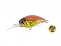 Wobler Duo Tetra Works Kurakura 30mm 2.5g | 1-1/8in 1/8oz - GHI0084 Gold Worm