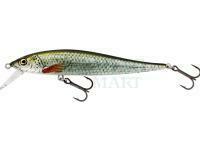 Westin Jerkbite SR 9cm 8g Suspending - Real Roach