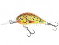 Wobler Dorado Blagier 3.5F TR