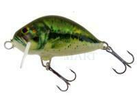 Wobler Dorado Lake L-3,5 Floating BS