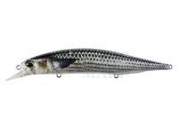 Wobler DUO Realis Jerkbait SP SW Limited 12cm - DST0804 Mullet ND