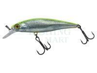 Wobler Illex Squad Minnow 65 SP - RT Visible Roach