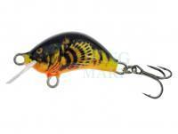 Wobler Kenart Hunter 2cm HX