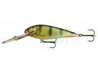 Wobler Kenart Troll SDR 10cm 22g - PG