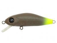 Wobler Pontoon21 Crackjack 48SP DR - R47 Browny Fly