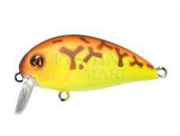 Wobler Pontoon21 Hypnose 38F SSR | 38mm 3.8g - 075 Chartreuse Brown