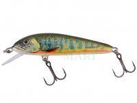 Wobler Salmo Minnow Floating 5 | 5cm 3g | 2" 1/16oz - Lake Charr