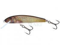 Wobler Salmo Minnow M6S 6cm - Grayling