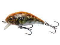 Wobler Savage Gear 3D Goby Crank SR 5cm 6.5g - UV Orange Fluo