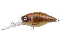 Wobler Spro IKIRU Mini Crank 38F LL | 3.8 cm 4 g - Varion