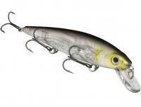 Wobler Strike King KVD 300 Jerkbait 12cm 14.2g - Clearwater Minnow