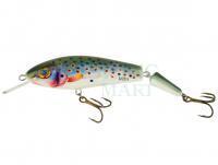 Wobler Vidra Lures Apex 12 Jointed 12cm 23g - RBT