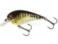 Wobler Westin BassBite Squarebill BassBite 1.5 | 6cm 13g - Real Minnow