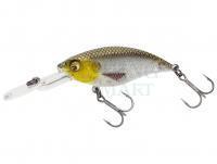 Wobler Westin BuzzBite Crankbait 4cm 4g - Gold Headlight Limited