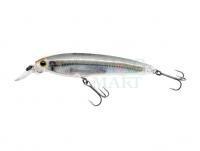 Wobler Yo-zuri 3DR Minnow 100SP | 10cm 17g - Real Glass Minnow (R1309-RGLM)